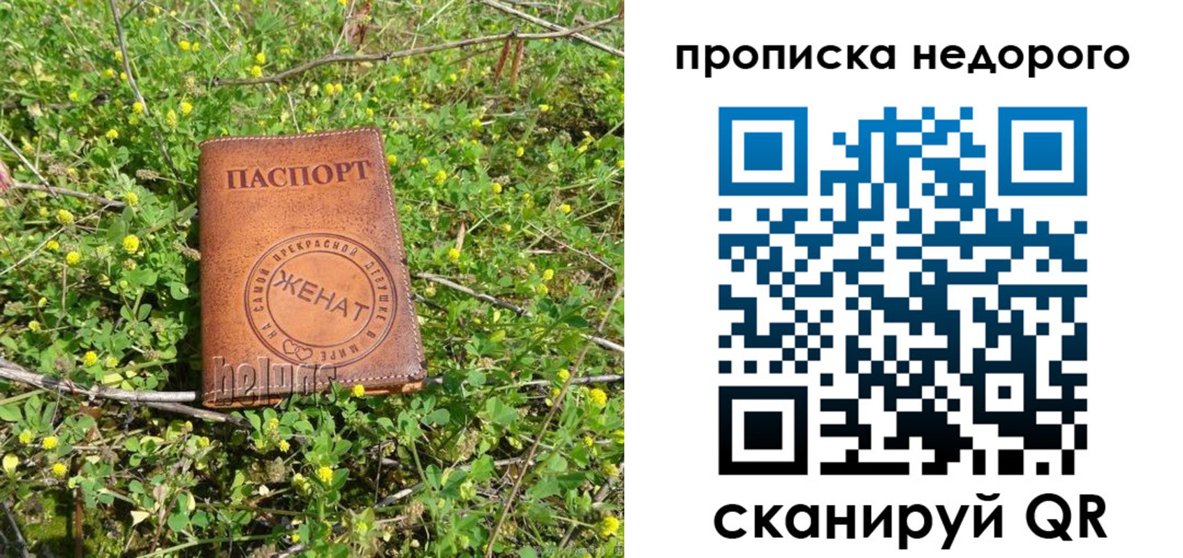 регистрация для дет. сада в Коле